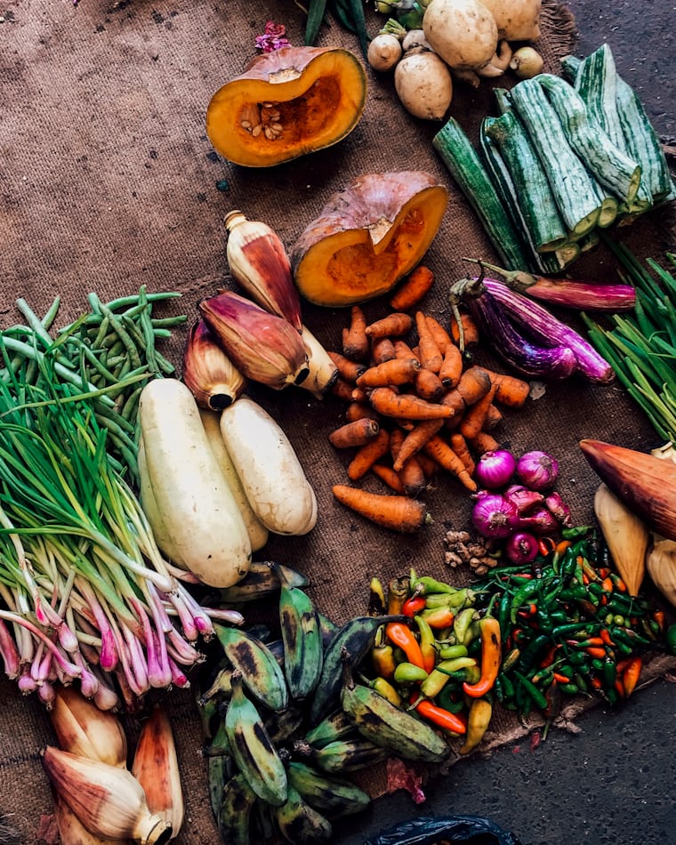 Seasonal harvest produce from the organic farm